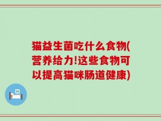 猫益生菌吃什么食物(营养给力!这些食物可以提高猫咪肠道健康)
