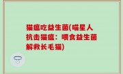 猫瘟吃益生菌(喵星人抗击猫瘟：喂食益生菌解救长毛猫)