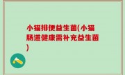 小猫排便益生菌(小猫肠道健康需补充益生菌)