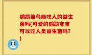 鹦鹉雏鸟能吃人的益生菌吗(可爱的鹦鹉宝宝可以吃人类益生菌吗？)