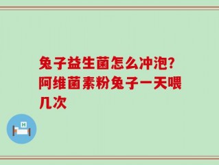兔子益生菌怎么冲泡？阿维菌素粉兔子一天喂几次
