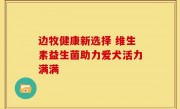 边牧健康新选择 维生素益生菌助力爱犬活力满满
