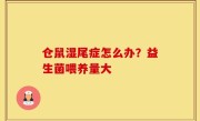 仓鼠湿尾症怎么办？益生菌喂养量大