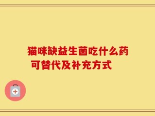 猫咪缺益生菌吃什么药 可替代及补充方式