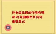 养龟益生菌的作用有哪些 对龟健康生长有何重要意义
