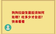 狗狗拉益生菌后该如何处理？吃多少才合适？快来看看