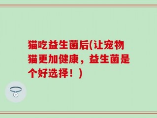 猫吃益生菌后(让宠物猫更加健康，益生菌是个好选择！)