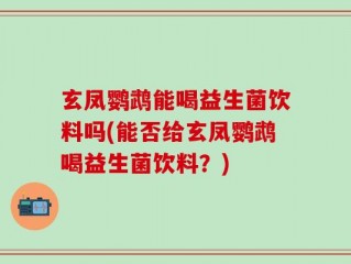 玄凤鹦鹉能喝益生菌饮料吗(能否给玄凤鹦鹉喝益生菌饮料？)