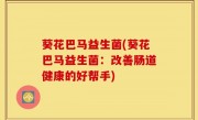 葵花巴马益生菌(葵花巴马益生菌：改善肠道健康的好帮手)