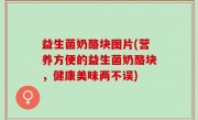 益生菌奶酪块图片(营养方便的益生菌奶酪块，健康美味两不误)