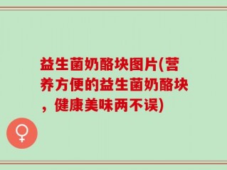 益生菌奶酪块图片(营养方便的益生菌奶酪块，健康美味两不误)
