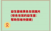 益生菌橘黄色包装图片(橙色包装的益生菌：帮助你维持健康)