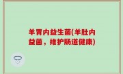 羊胃内益生菌(羊肚内益菌，维护肠道健康)