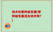 幼犬吃那种益生菌(哪种益生菌适合幼犬呢？)