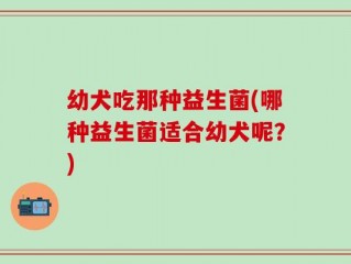 幼犬吃那种益生菌(哪种益生菌适合幼犬呢？)