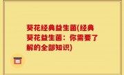葵花经典益生菌(经典葵花益生菌：你需要了解的全部知识)