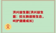 洪兴益生菌(洪兴益生菌：优化肠道微生态，呵护健康成长)