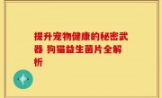 提升宠物健康的秘密武器 狗猫益生菌片全解析