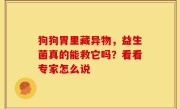 狗狗胃里藏异物，益生菌真的能救它吗？看看专家怎么说