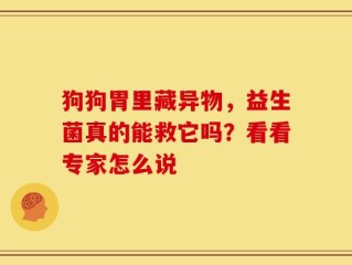 狗狗胃里藏异物，益生菌真的能救它吗？看看专家怎么说