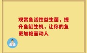 观赏鱼活性益生菌，提升鱼缸生机，让你的鱼更加艳丽动人