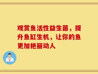 观赏鱼活性益生菌，提升鱼缸生机，让你的鱼更加艳丽动人