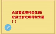 仓鼠要吃哪种益生菌(仓鼠适合吃哪种益生菌？)