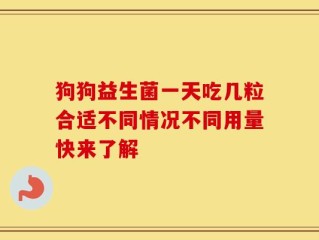 狗狗益生菌一天吃几粒合适不同情况不同用量快来了解