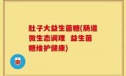 肚子大益生菌糖(肠道微生态调理  益生菌糖维护健康)