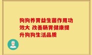 狗狗养胃益生菌作用功效大 改善肠胃健康提升狗狗生活品质