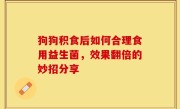 狗狗积食后如何合理食用益生菌，效果翻倍的妙招分享