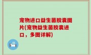 宠物进口益生菌胶囊图片(宠物益生菌胶囊进口，多图详解)