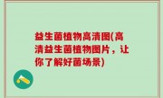 益生菌植物高清图(高清益生菌植物图片，让你了解好菌场景)