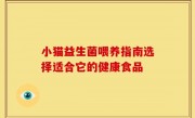 小猫益生菌喂养指南选择适合它的健康食品