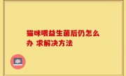 猫咪喂益生菌后仍怎么办 求解决方法