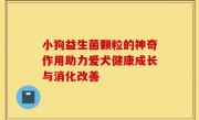 小狗益生菌颗粒的神奇作用助力爱犬健康成长与消化改善