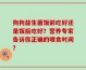 狗狗益生菌饭前吃好还是饭后吃好？营养专家告诉你正确的喂食时间？