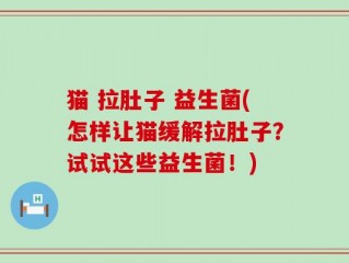 猫 拉肚子 益生菌(怎样让猫缓解拉肚子？试试这些益生菌！)