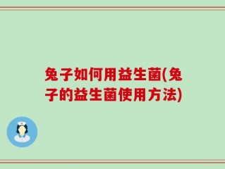 兔子如何用益生菌(兔子的益生菌使用方法)