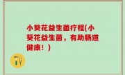 小葵花益生菌疗程(小葵花益生菌，有助肠道健康！)