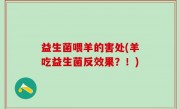 益生菌喂羊的害处(羊吃益生菌反效果？！)