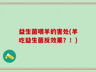 益生菌喂羊的害处(羊吃益生菌反效果？！)