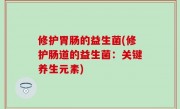 修护胃肠的益生菌(修护肠道的益生菌：关键养生元素)