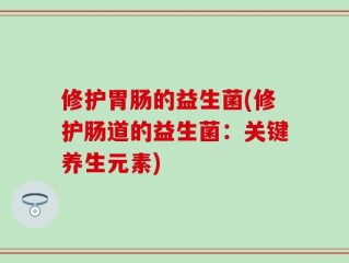 修护胃肠的益生菌(修护肠道的益生菌：关键养生元素)
