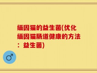 缅因猫的益生菌(优化缅因猫肠道健康的方法：益生菌)