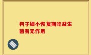 狗子细小恢复期吃益生菌有无作用