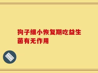 狗子细小恢复期吃益生菌有无作用