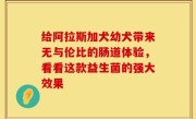 给阿拉斯加犬幼犬带来无与伦比的肠道体验，看看这款益生菌的强大效果