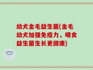 幼犬金毛益生菌(金毛幼犬加强免疫力，喂食益生菌生长更健康)