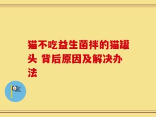 猫不吃益生菌拌的猫罐头 背后原因及解决办法